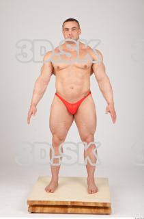 Body texture of Gene 0041